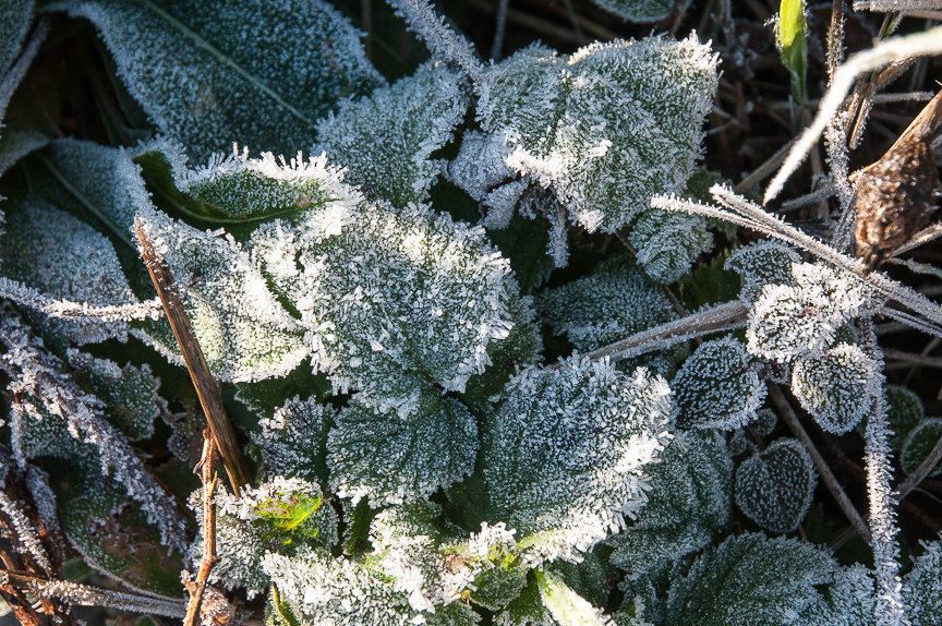 C 2013-12-08-05 